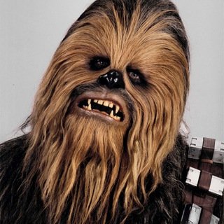 Chewbacca Bot chat bot