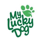 myluckydog.ch chat bot