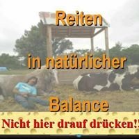 Natural Westernriding Andreas Gruber chat bot