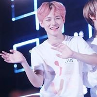 Dolphin Chenle chat bot