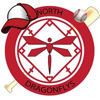 Vietnam Dragonflys Baseball Team chat bot