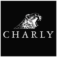CHARLY by solutio chat bot