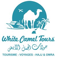 White Camel Tours chat bot