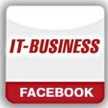 IT-BUSINESS chat bot