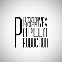 Papela Productions chat bot