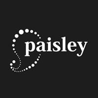 Paisley chat bot