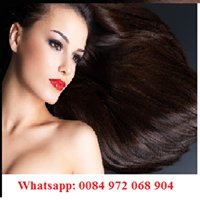 Human Hair from  Vietnam - Best supplier in virgin hair chat bot