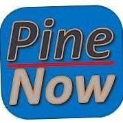 PineNow chat bot